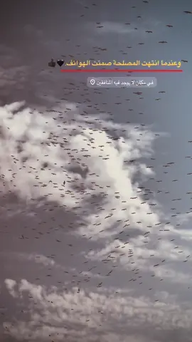 وعندما انتهت المصلحة صمتت الهواتف .🖤