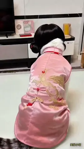 mỹ nhân #quynhkun 