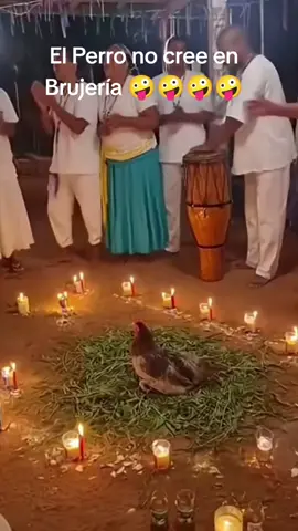 Se les llevó el Paco 🤪🤪🤪🤪🤪🤪🤪🤪🤪🤪#LIVEIncentiveProgram #LIVEWithLessFollowers #PaidPartnership 