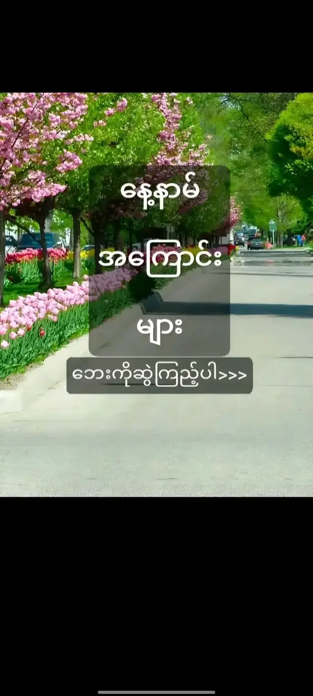 #သင်ဘာ နေ့နာမ်လဲ#မင်းတို့ပေးမှ❤️ရမဲ့သူပါ #flyppppppppppppppppppppppppppppppp #