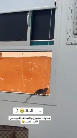 #ترندات #معلمة #الدوام #حضوري #الكامل 