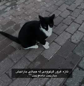 🖤.#foryou #foryou #foryou #foryoupage #fypシ゚ 