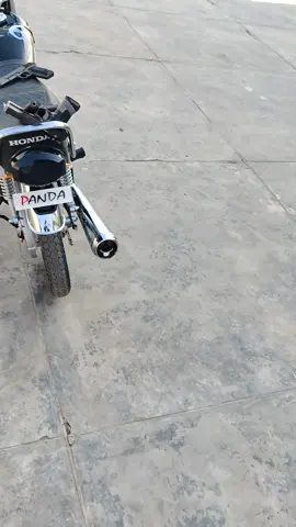 Panda lovers 😍  #tiktok  #100k  #1millionviews  #foryou  #viral 