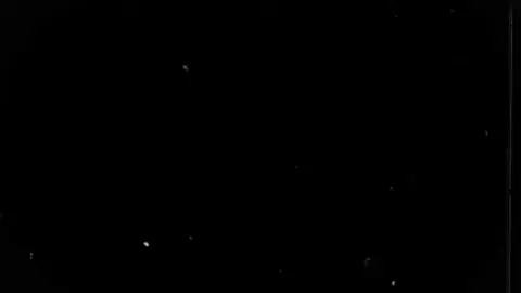 ليتني في سرب الحمام 🕊💫 #بدون_موسيقى #no_music  .  .  #اناشيد_بدون_موسيقى #تصميم_فيديوهات🎶🎤🎬   #ستوريهات 