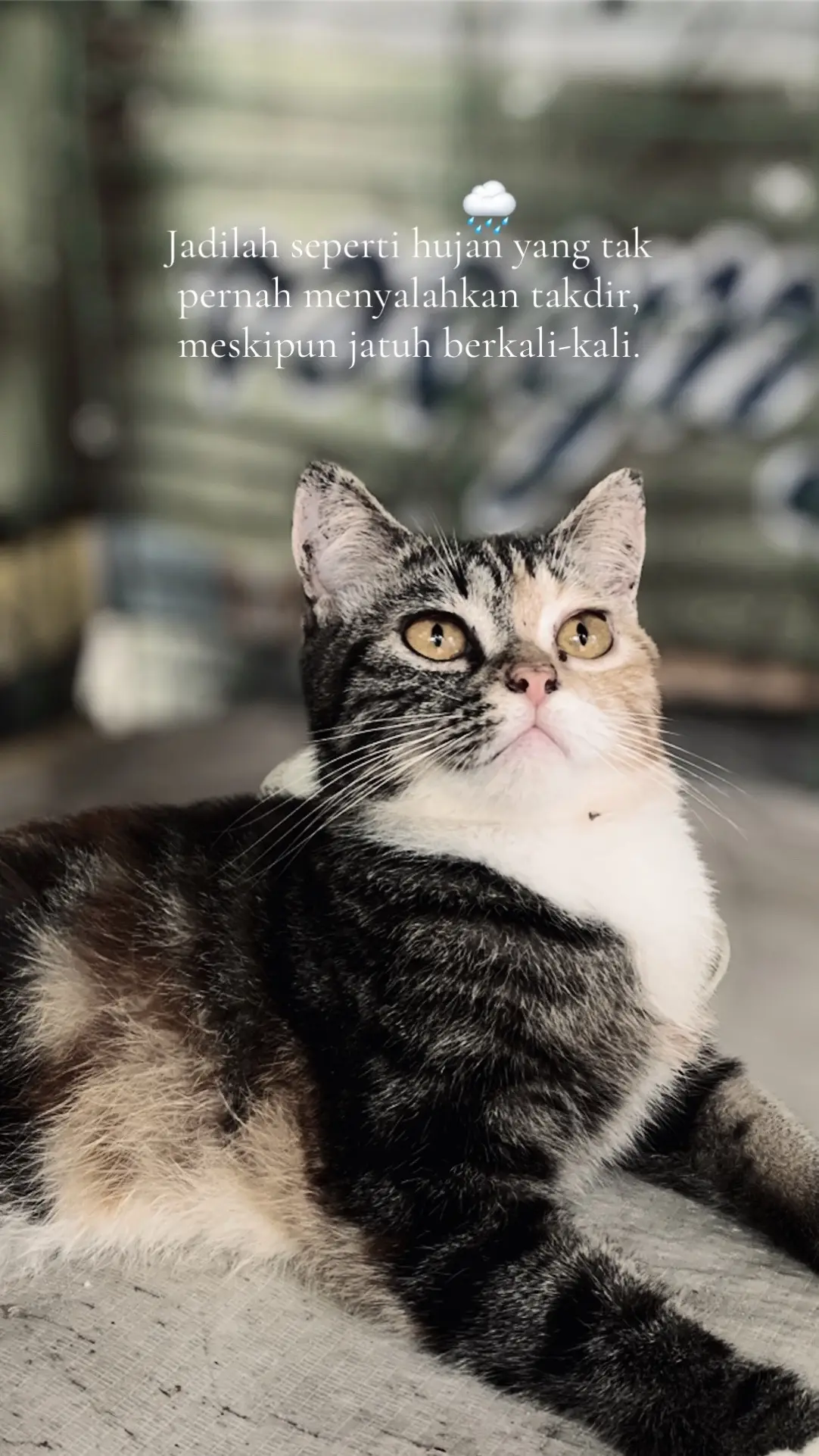 #promomakanharian #katakata #fyp 