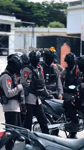 #fyppppppppppppppppppppppp #hobbymerpati #penggemarmerpatikentong #merpatikentongsurabaya #474_hasil_laut 