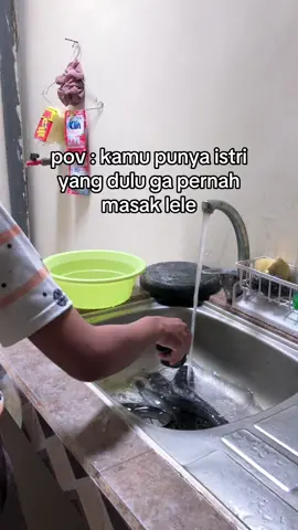 ampun lee ampun😭🙏🏻 kaga lagi lagi deh, ada pengalaman yang sama?😭😭 #lele #masaklele #dailylife #homeliving #affiliatepemula 