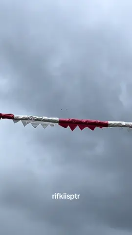 pinokio #fyp #CapCut #merpatilovers #merpatikolongbebas 