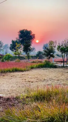 Hyyy this song yar. 🥹❤️‍🩹#unfreezmyaccount #plase #viralvideo #🍁🍂🎶🍁🎵🍂🍁🍁🍂 #foryoupage❤️❤️ 