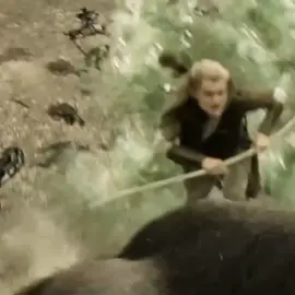 يارب يصعد🙏#سيد_الخواتم #ليجولاس #lordoftherings #الارض_الوسطى #يارب_يصعد 