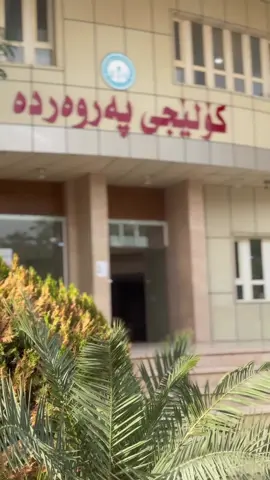 #zankoy_garmian #foryoupage #kaler #kifri 