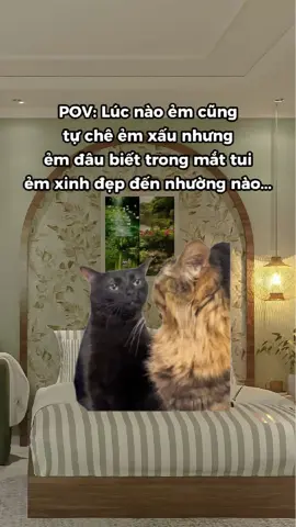 Rời mắt t là lại tim ảnh con khác ngay chứ gì, các mom nhỉ ? #homestay #somelihomestay #homestayhanoi #tinhyeu #fyb 