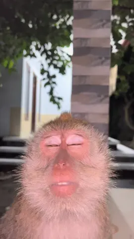 Molor#fyp #fypシ゚ 