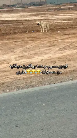 😂😂😂الكرامه وين تلطم بزويه #اكسبلوررررر #الشعب_الصيني_ماله_حل😂😂 #حموتتتتتتت😭😭😭😂😂😂 