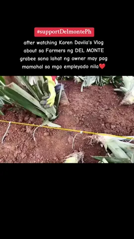 #SUPPORTDELMONTEPH grabee ang pagka generosity ng Owner ng Del Monte 🥺 , Wala ng alalahanin ang Empleyado magtrabaho lang ng tapat, Give and take lang..  #delmonte #karendavilavlog #Farmer 