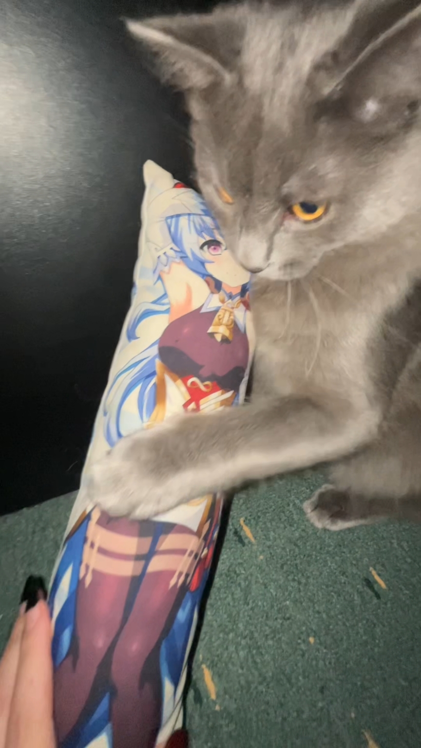 мешают нам ТГК: Vasily4489