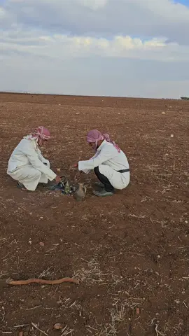 ودنا نغزي الشيخ ذياب #اعادة_نشر🔁 #فولو🙏🏻لايك❤️اكسبلور🙏🏻🌹💫 #اكسبلور @الشيخ ذياب 