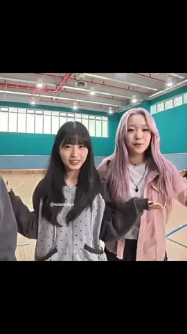 Some random AB members cuts from AB Gym Here? S21🫶🏻🩷 SO CHAOTIC & SO FUN HSHAJSJHSK 😂😂 #artbeathaeun #artbeat #artbeats21 #artbeatv #artbeatspoiler