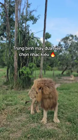 Nó vậy đó 🥹 #zebrahahaha #banbe #chuoi 