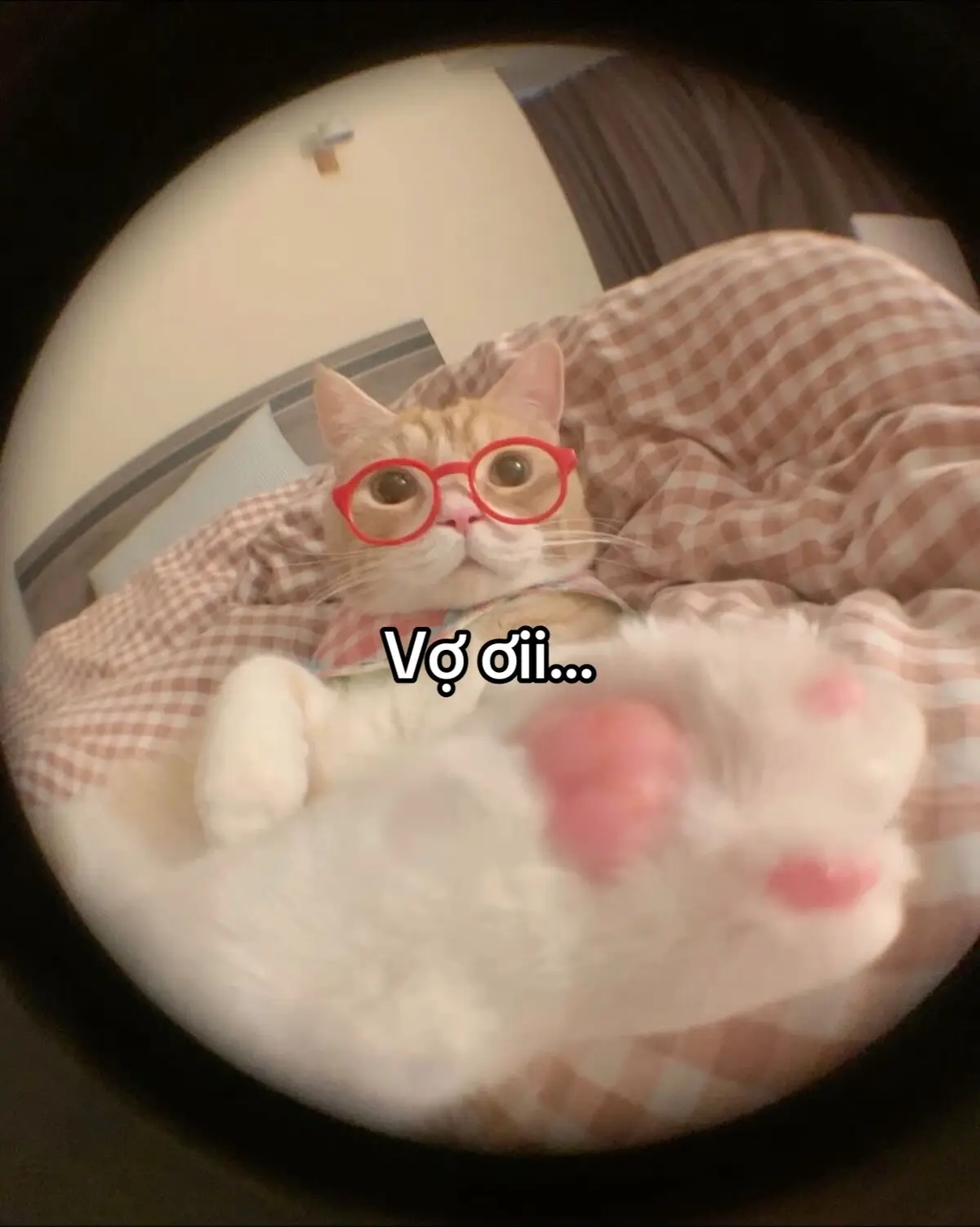 #_minh_chien201 #tinhyeu 