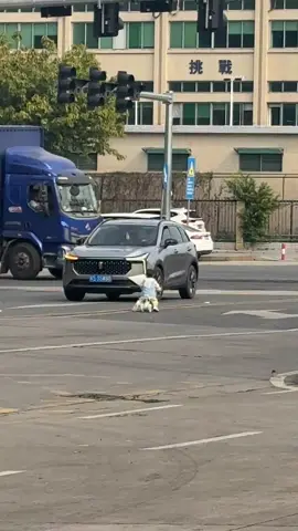 SOS #xuhuong #trending 