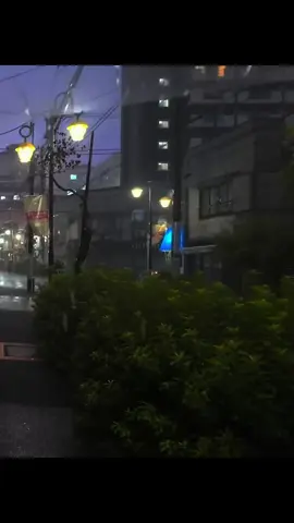 ga bosen sama lagu ini #xyzbca #lyrics #foryoupage 