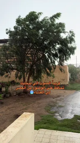 #تصويري_احترافي_الاجواء👌🏻🕊😴 