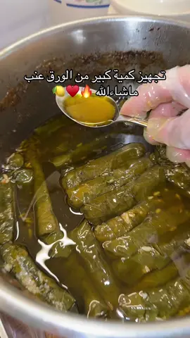 للطلب ٠٥٤١٤٤٩٦٧٤ الدمام #ورق_عنب_الدمام #اكسبلورexplore #الشعب_الصيني_ماله_حل😂😂 #ورق_عنب_حامض #ورق_عنب 