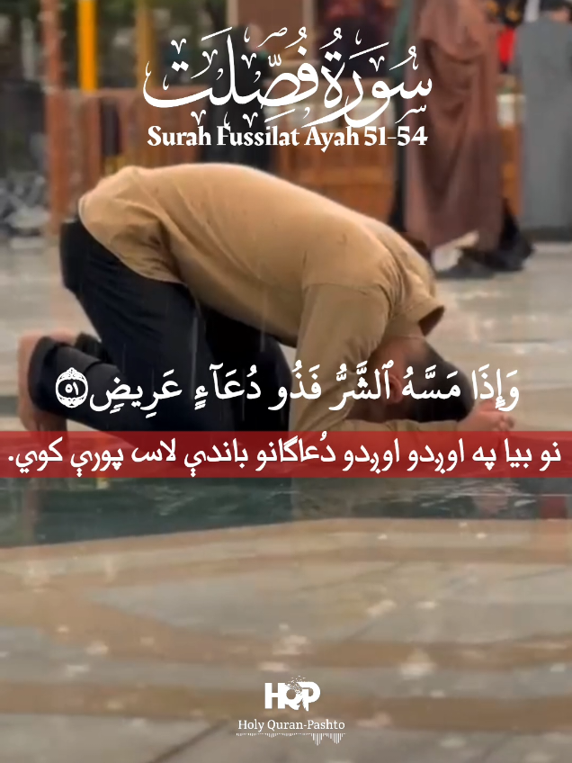 د سورة فصلت پښتو ژباړه له ۵۱م ایات  څخه تر ۵۴م ایات پورې @Holy Quran-Pashto 2  quran with pashto translation  #surah_fussilat_pashto #سورة_فصلت_پښتو #holy_quran_pashto #haroonhabibi☝ #tiktokteamunfreezmyacount😥🙏viralvideofyp 