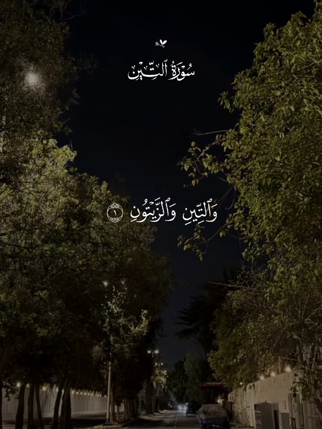 #قران #quran #قران_كريم #quran_alkarim #القران_الكريم 