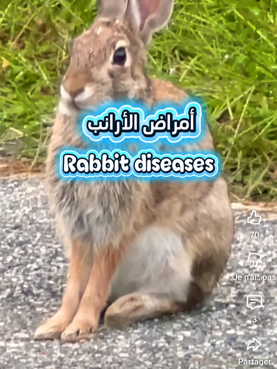 #LIVEIncentiveProgram #LIVEFEST2025 #MakeLIVECount #PaidPartnership 