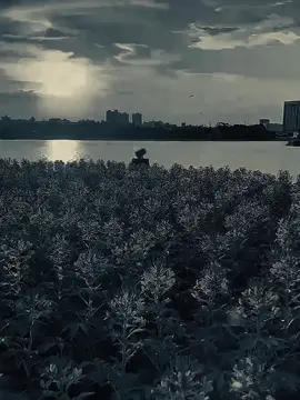 #CapCut #dianastemplate #trending #fypage #quote 