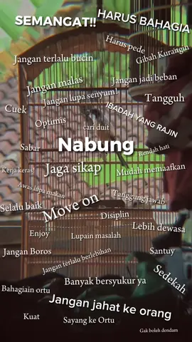 restart reset refocus #kicaumaniaindonesia 