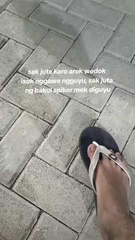 ledeh sodara#fyppppppppppppppppppppppp #soundsystemmojokerto #soundminiatur 