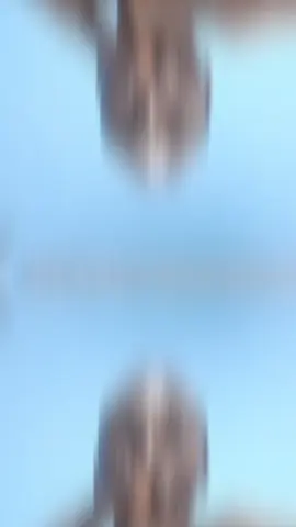 Sécurise ton mois de décembre an générant 500.000frs par semaine.  #pourtoii #business 