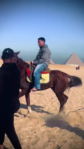 #ميت_عقبه_بلدنااا😎🤙 #بس بيسو 😂@انــس_بــيـســو//anas_beso🥷🤺 😂🫵🏻