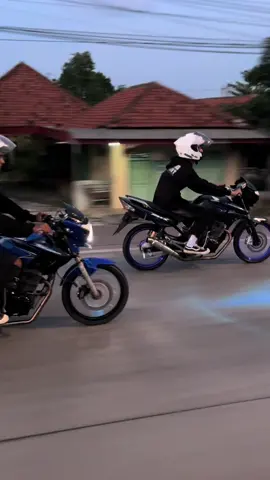 spill duo pece mu #fypシ゚ #tigergank🚀 #tigerpece 