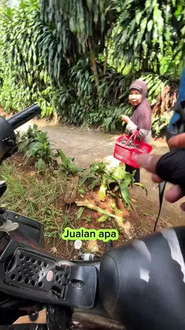 Cobalah untuk menjadi rendah hati setiap hari dan hidup akan menjadi lebih mudah #fyp #mangdonat #berbagiituindah #pejuangrupiah 