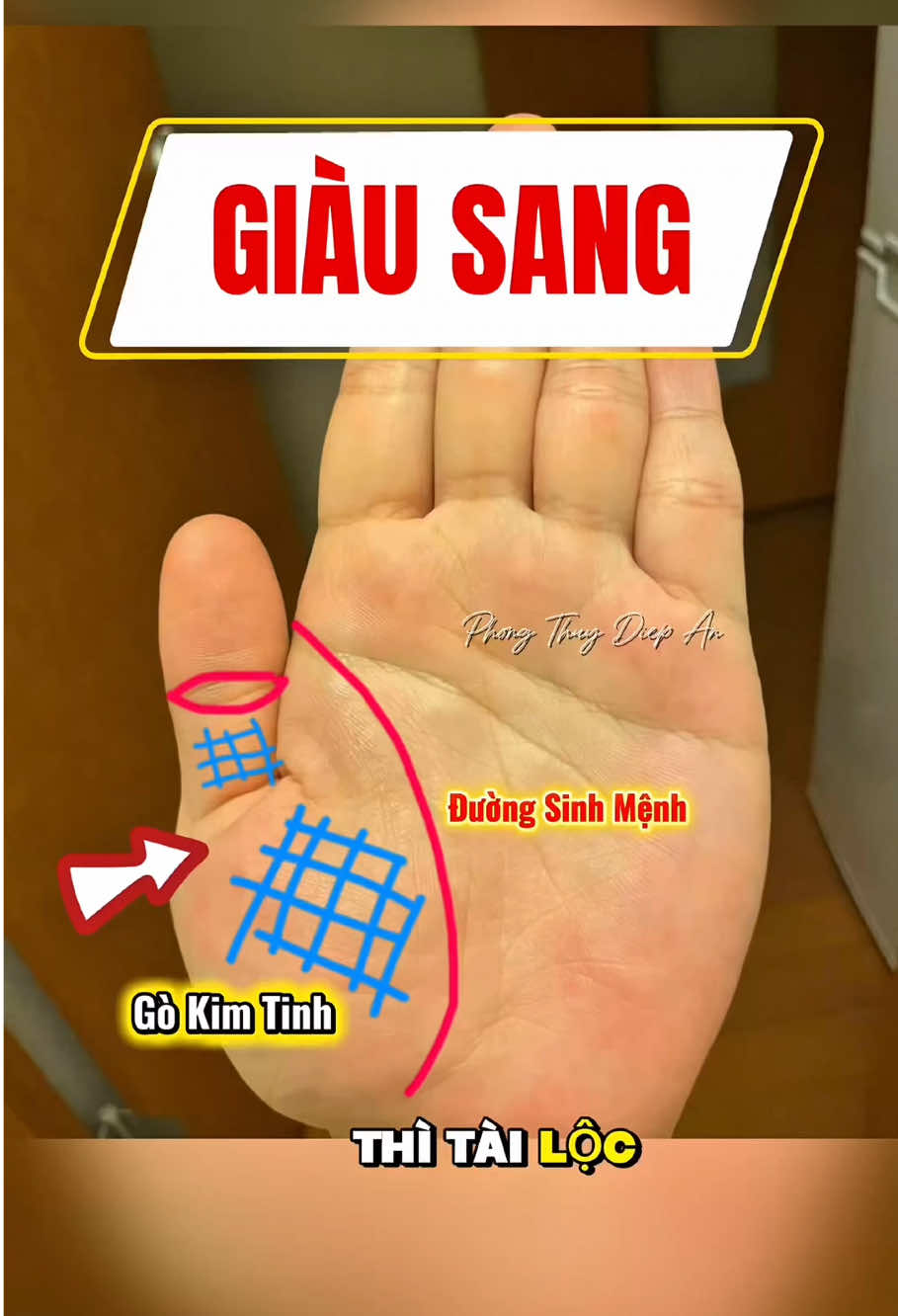 Tay bạn có vân lưới này không. Nếu có thì chúc mừng bạn nhé. Nét vân quý và hiếm. Tài lộc hậu vận tốt nhé. #giaimachitay #0974569545xemchitay #phongthuydiepan 