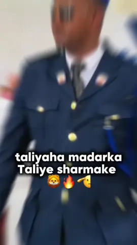 langaab ciile 🦁🫡#dhamac36 #somalilandtiktok💚🤍❤ #foryou 