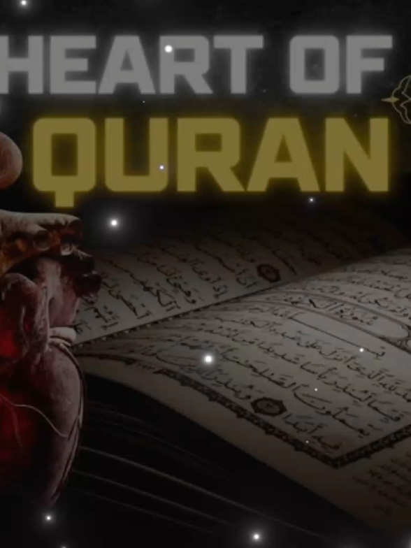 Heart Of Quran !! Surah Yaseen 🤎 Most Beautiful Quran Recitation by Sherif Mostafa 🌹  #fyp #foryoupage❤️❤️ #tilawat #surahyasin #alquran  views Problem everyone Repost Request 😞