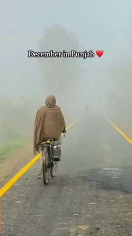 December in Punjab ❤️🥰❤️‍🩹 winter is coming 🫠#forupage #viral_video #wintervibes #پنجاب #پنڈاں_والے👑 