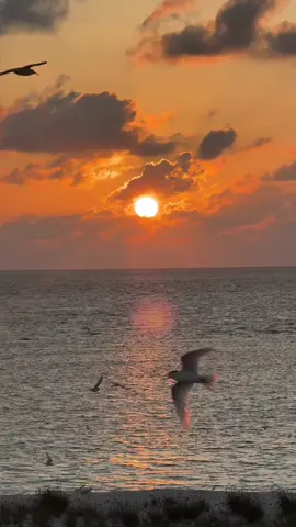 hi 👋 #fyp #ocean #sunset #maldives 