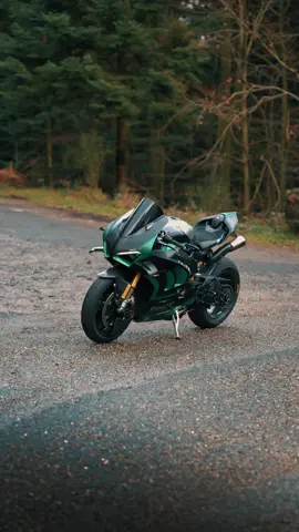 The queen 👑 #panigalev4s #superbike #motorbike #fyp #ducati 