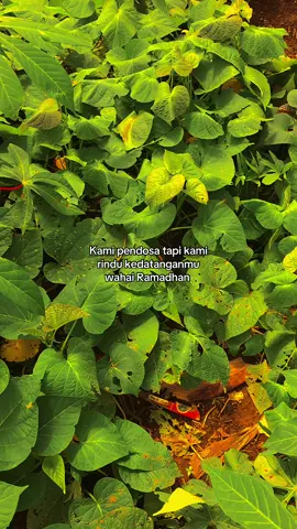 Vibes Ramadhan 2026 nya mulai terasa 🤩✨ #storyramadhan #ramadhan2026 #fypviralシ 