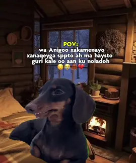 digirtayda marke ii bislaato isma naqaano😂😭🦧 . #fyppppppppppppppppppppppp #fypシ゚viral #foryoupage #somalitiktok 