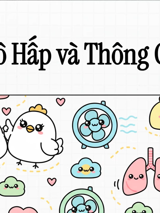 GÀ HO? Xem Ngay Cách THÔNG GIÓ ĐÚNG! #ThôngGióChuồngNuôi #HệThốngHôHấp #QuảnLýMôiTrường #ChănNuôiGiaCầm