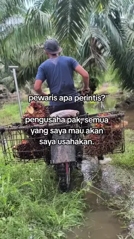 #petani #petaniindonesia🇮🇩🇮🇩🇮🇩🌿🌿 #petanisawit #sawitbapak #petanisawitindonesia🇮🇩 