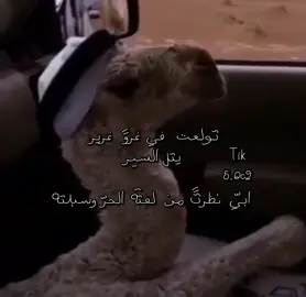 #fyp #viral #سعد_بن_جدلان 