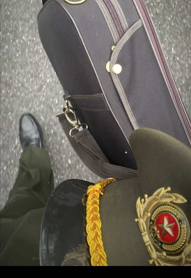 Việt quất, bò kho và violin #T01 #K01 